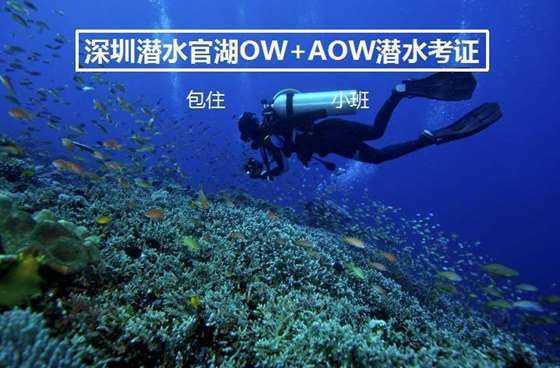 探索怎样的女生才更有吸引力呢???,共享知识的星球平台